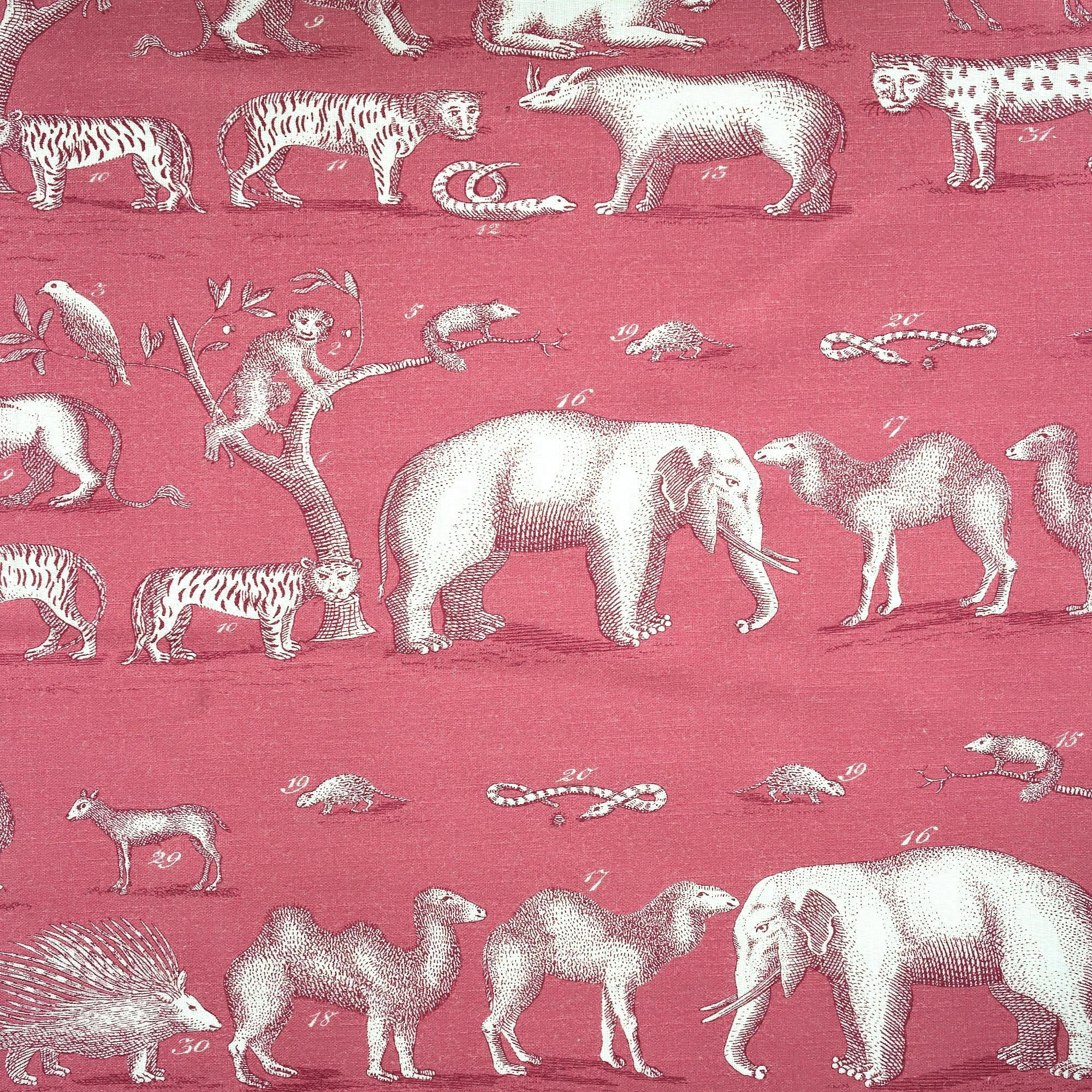Andrew Martin Kingdom Outdoor Tropic Fabric