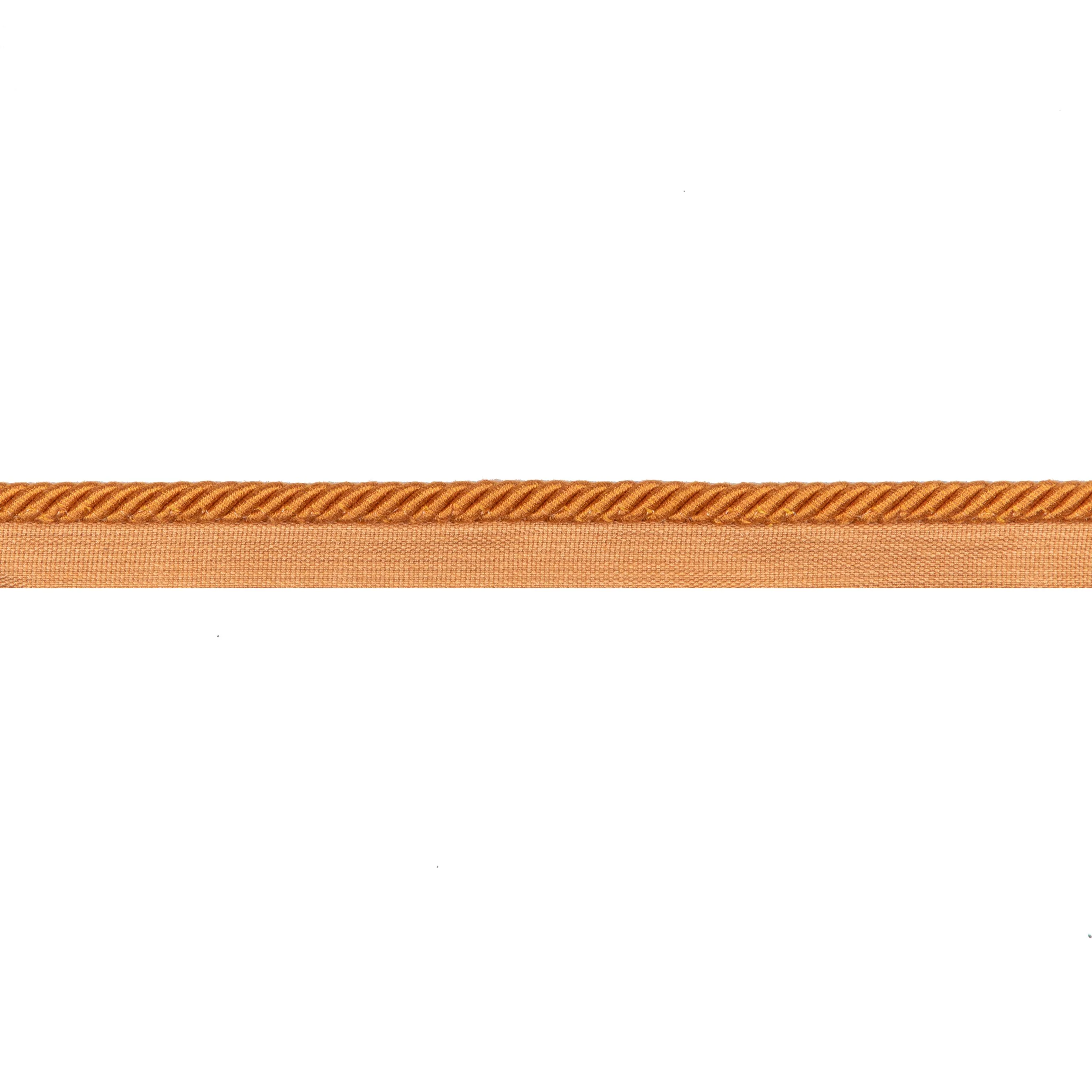 Brunschwig & Fils Barodet Cord Saffron Trim - Image 3