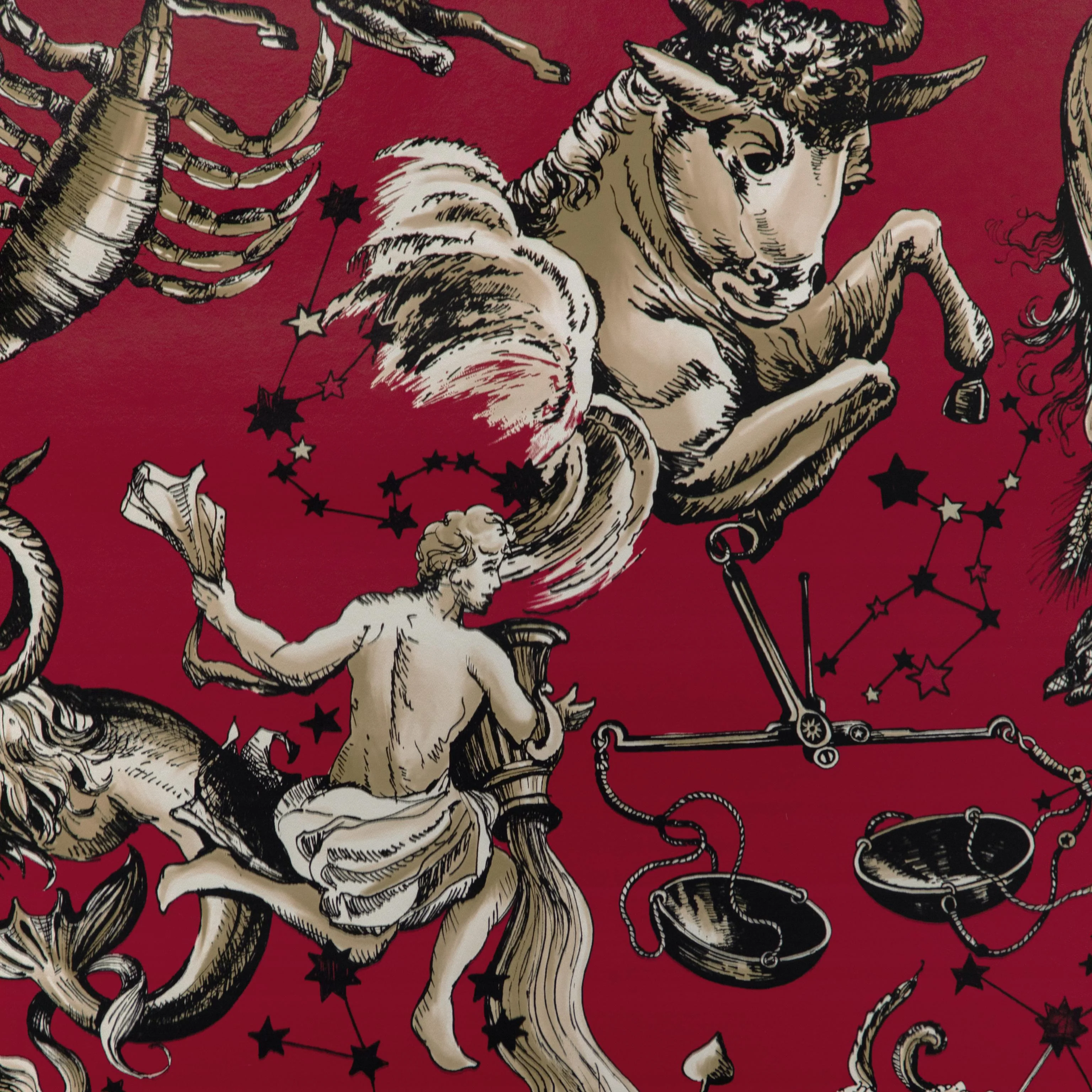 Brunschwig & Fils Cosmique Ruby Wallpaper - Image 2