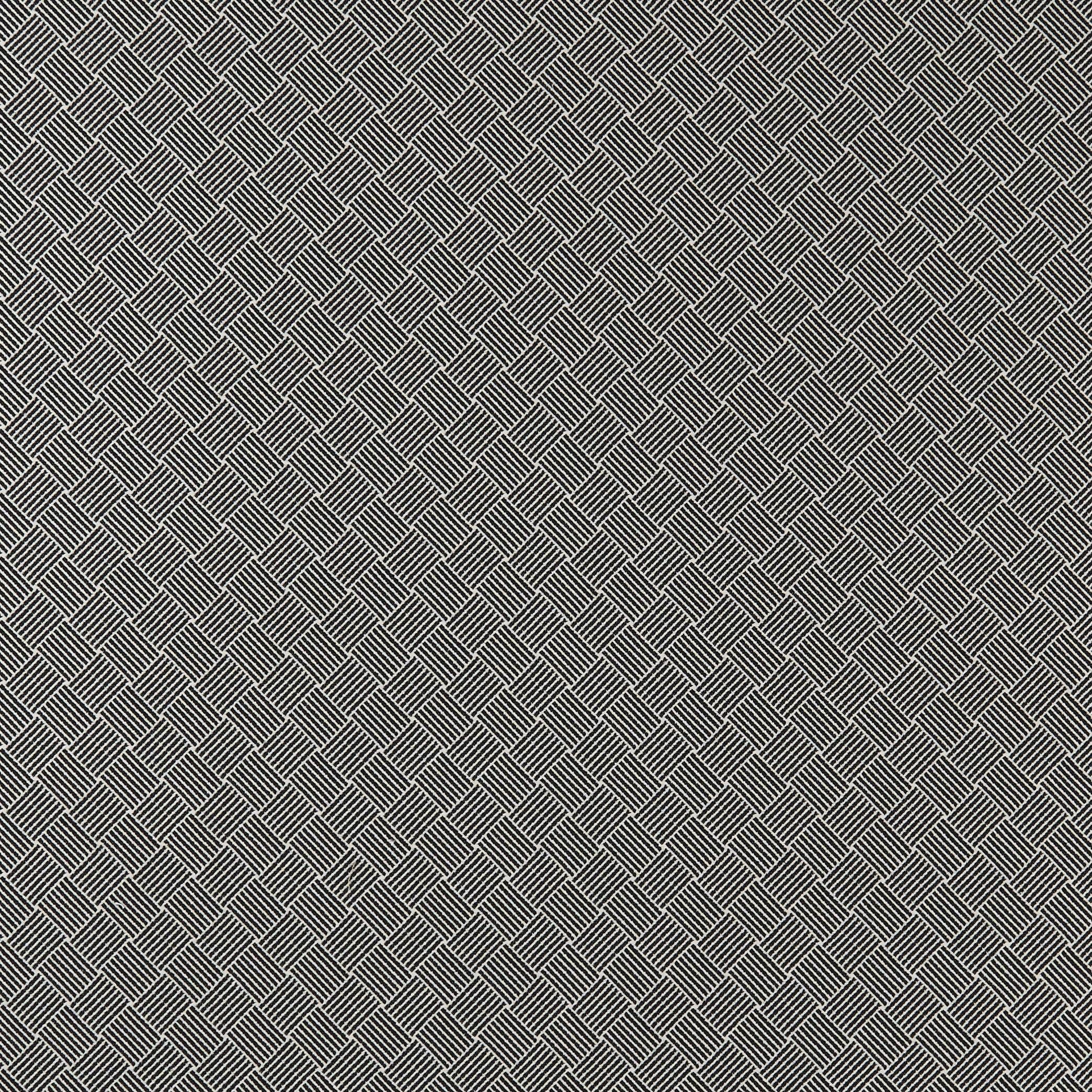 Clarke & Clarke Bw1031 Black/White Fabric - Image 2