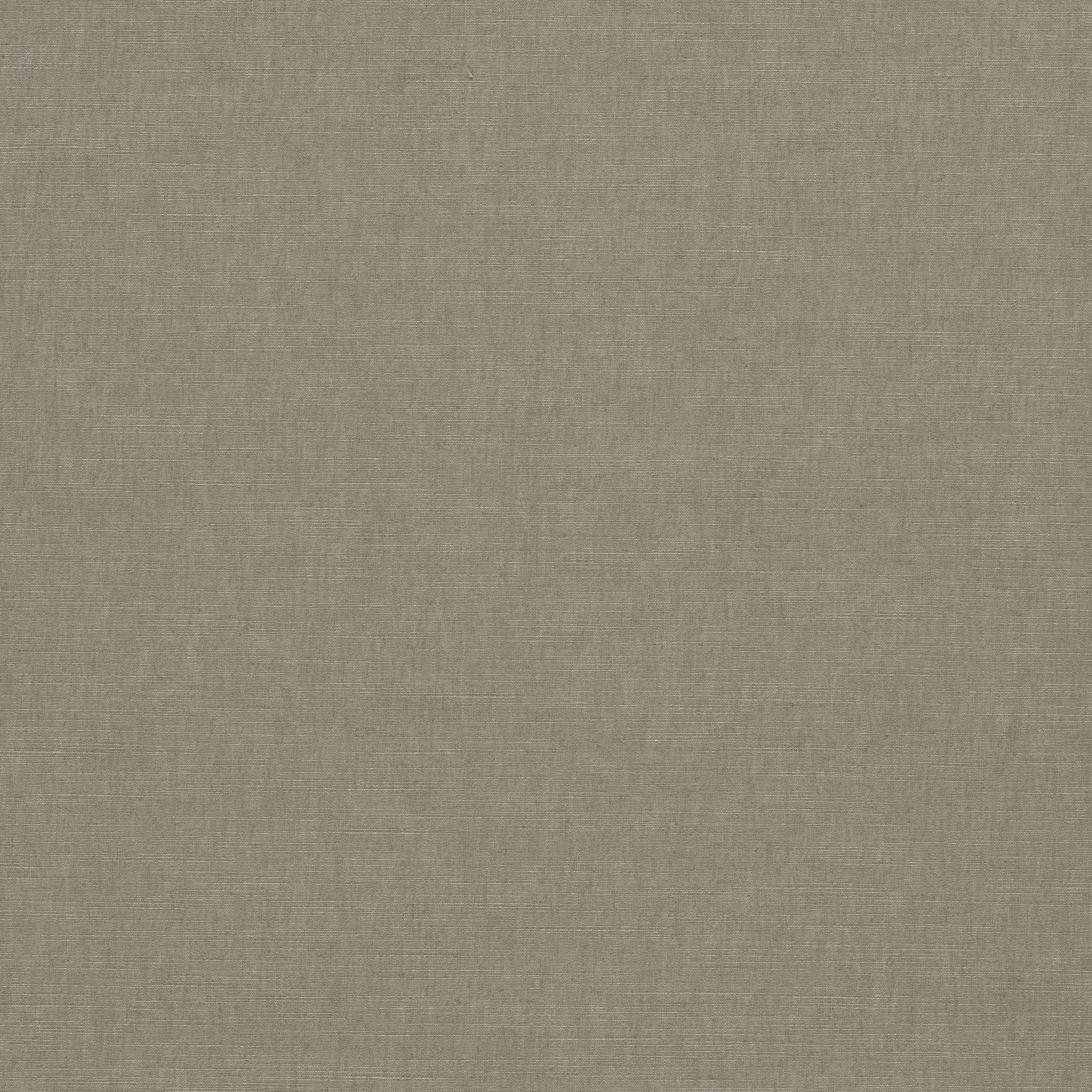 Clarke & Clarke Paradiso Ash Fabric