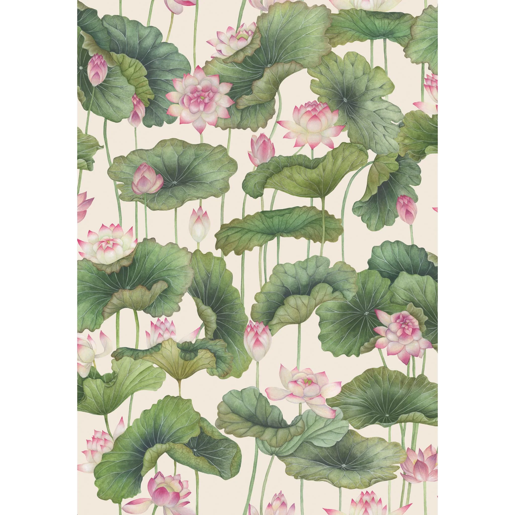 Cole & Son Lily Lotus Pink Wallpaper