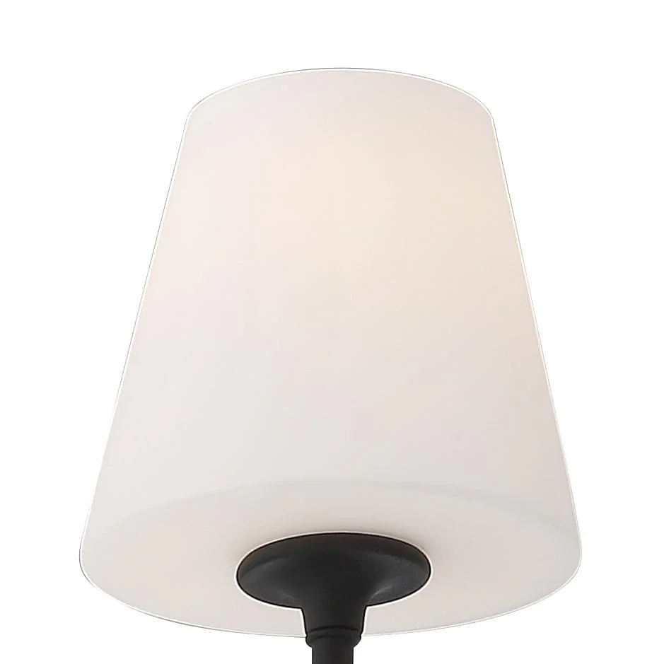 Crystorama Keenan 48'' Black Forged Linear Chandelier - Image 3
