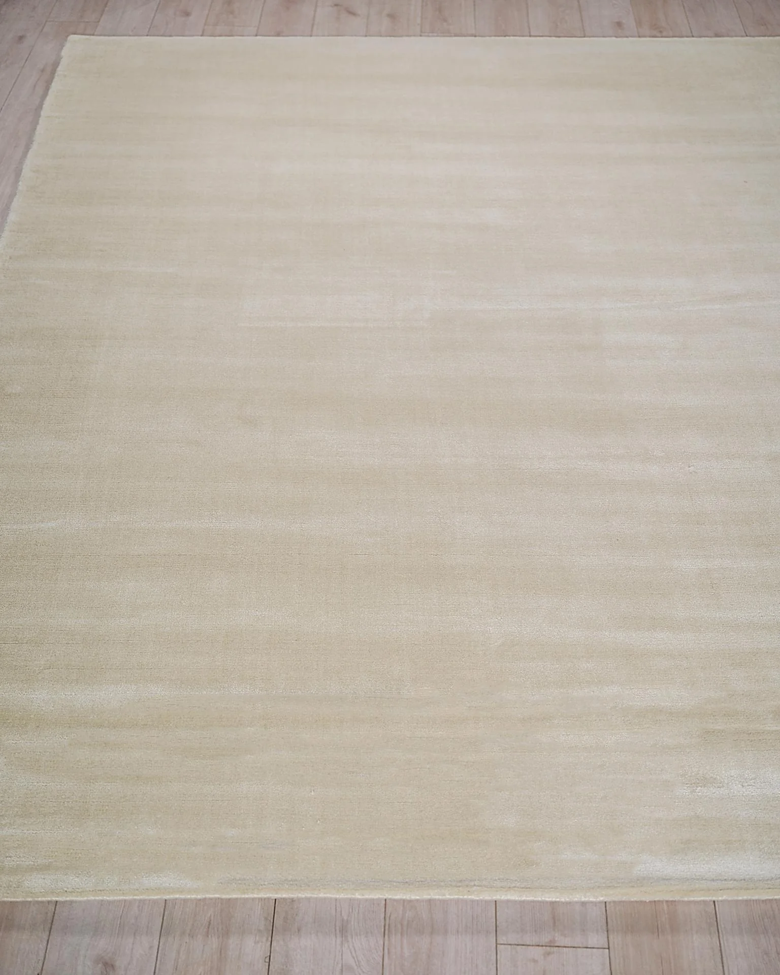 Exquisite Rugs Exquisite Rugs Velutto Modern Handmade Silky Nylon In 6541 Light Beige 9' X 6' Area Rug - Image 4