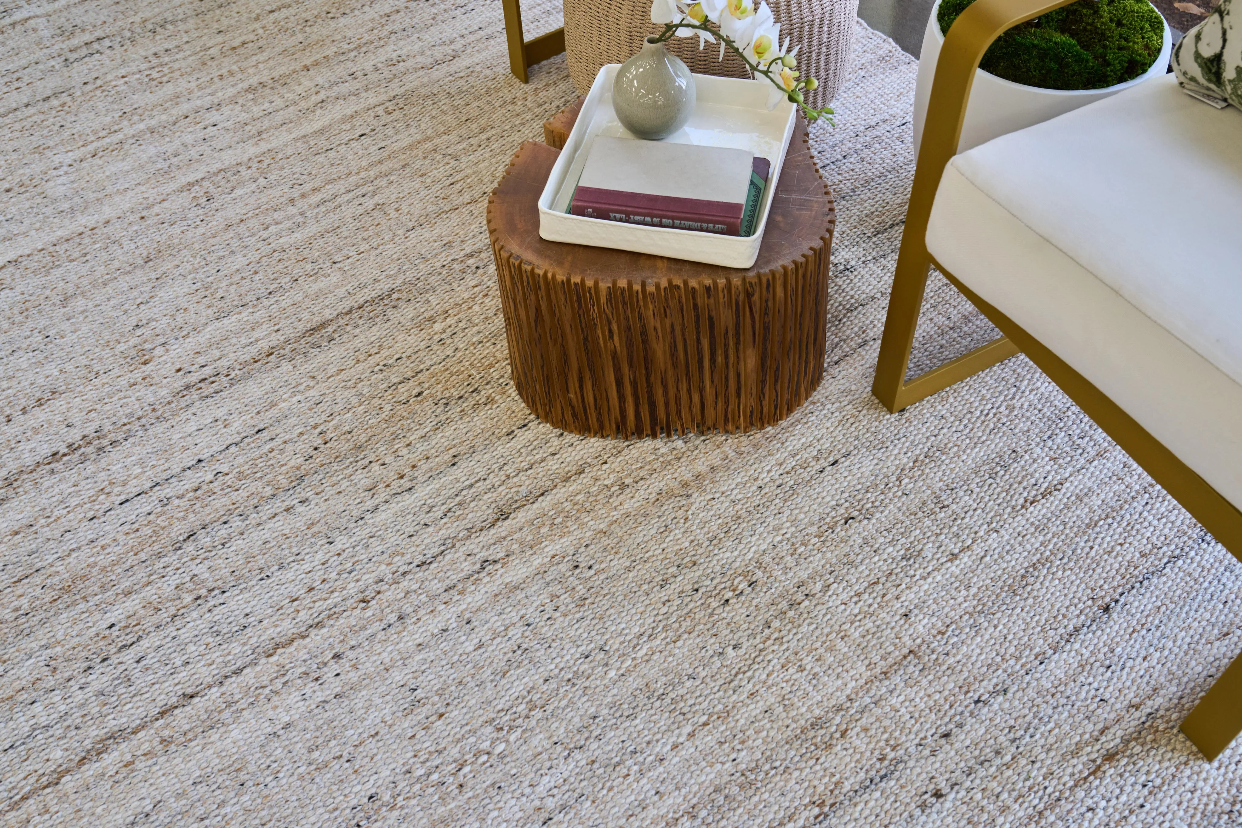Exquisite Rugs Loro Indoor/Outdoor Flatweave Pet Yarn 4858 Light Beige 15' X 12' Area Rug - Image 10