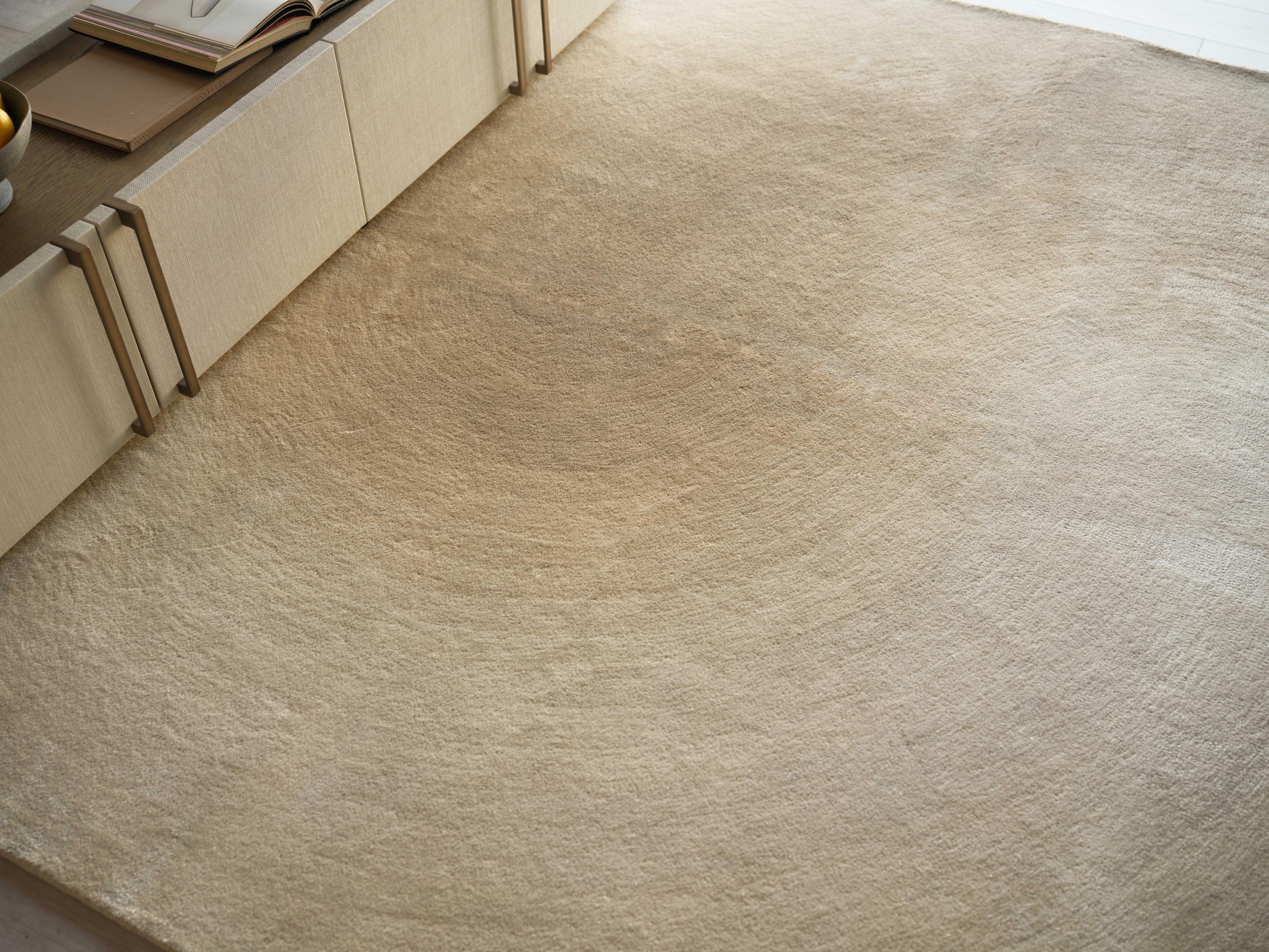 Exquisite Rugs Mitomo Hand Tufted Wool/Viscose In 7279 Light Beige/Ivory 15' X 12' Area Rug - Image 6