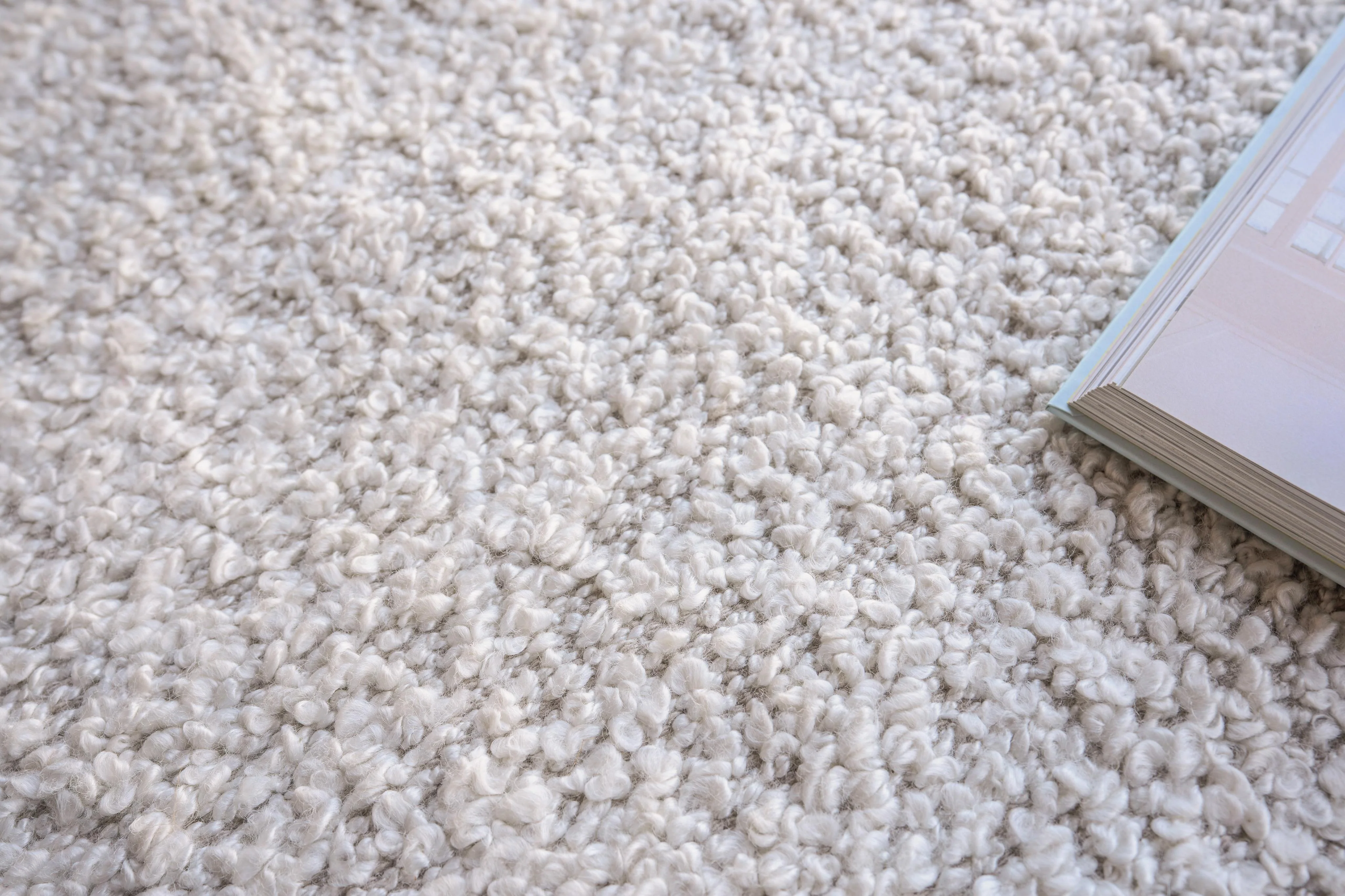 Exquisite Rugs Morello Indoor/Outdoor Reversible Hand-Loomed Pet Yarn 4778 Ivory/4778 Ivory 15' X 9' Area Rug - Image 7