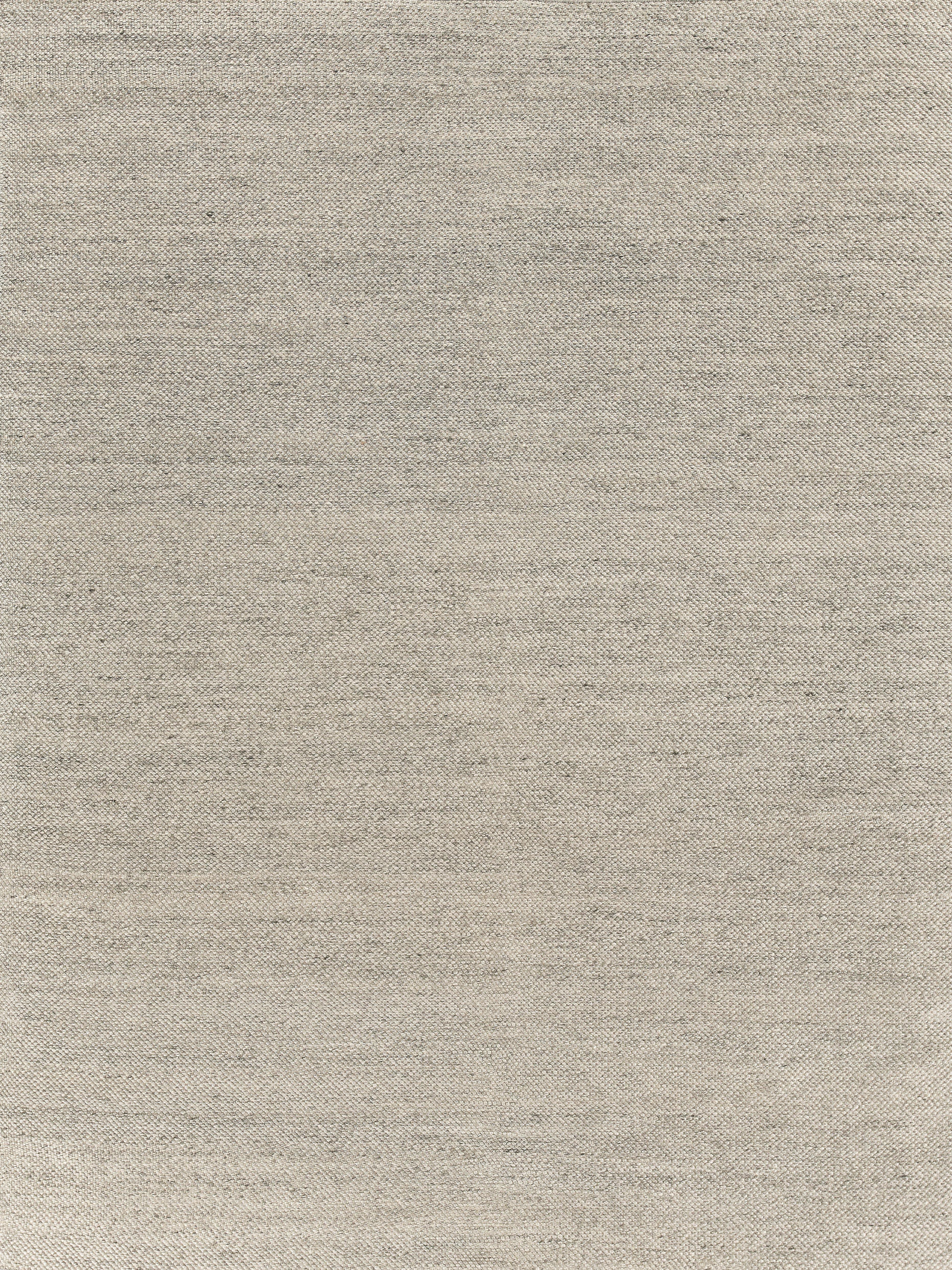 Exquisite Rugs Rhodes Hand-Loomed Pet Yarn 4594 Beige 10' X 8' Area Rug