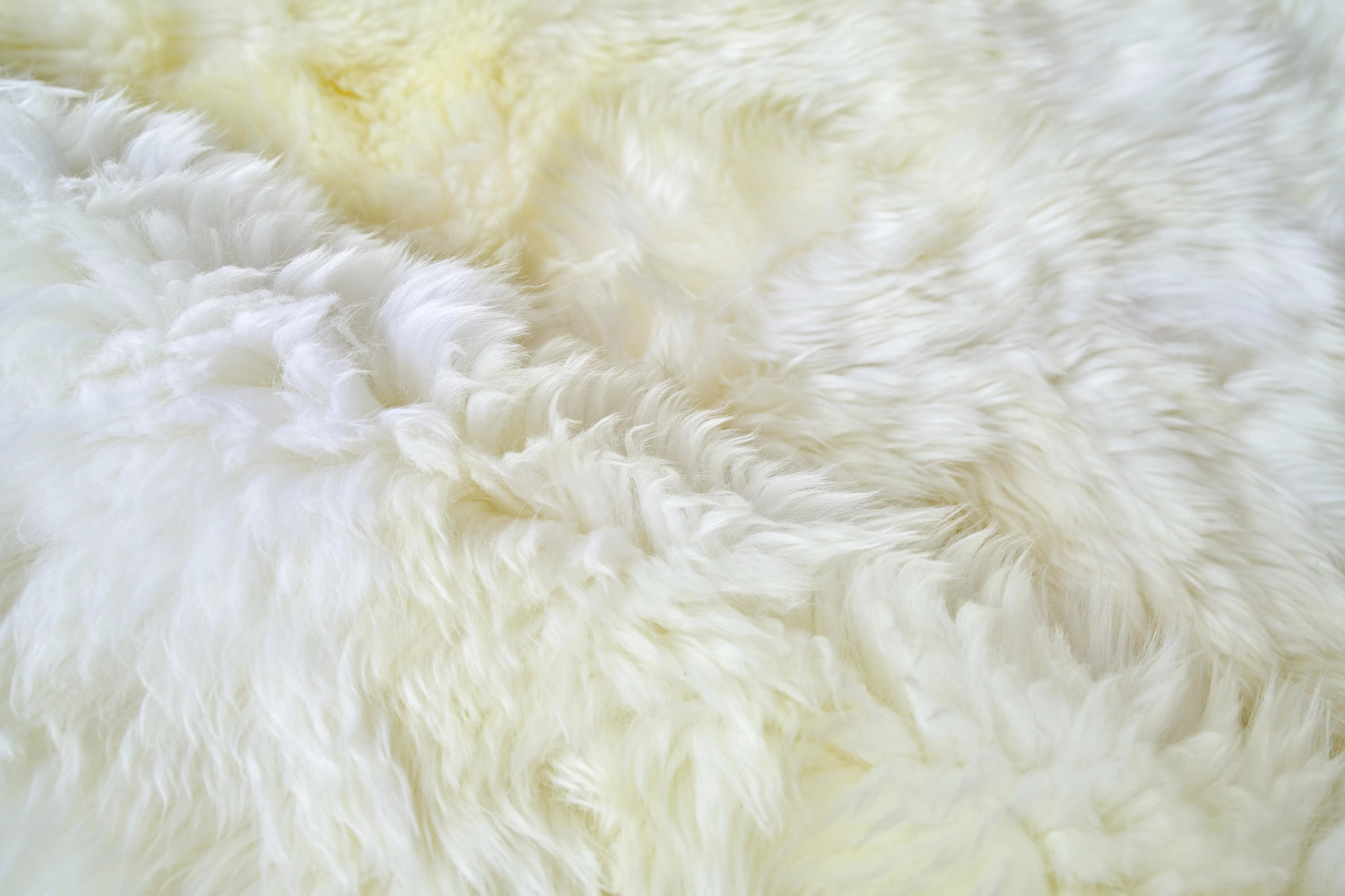 Exquisite Rugs Sheepskin Hand-Stitched 3855 Ivory 11' X 8' Area Rug - Image 4