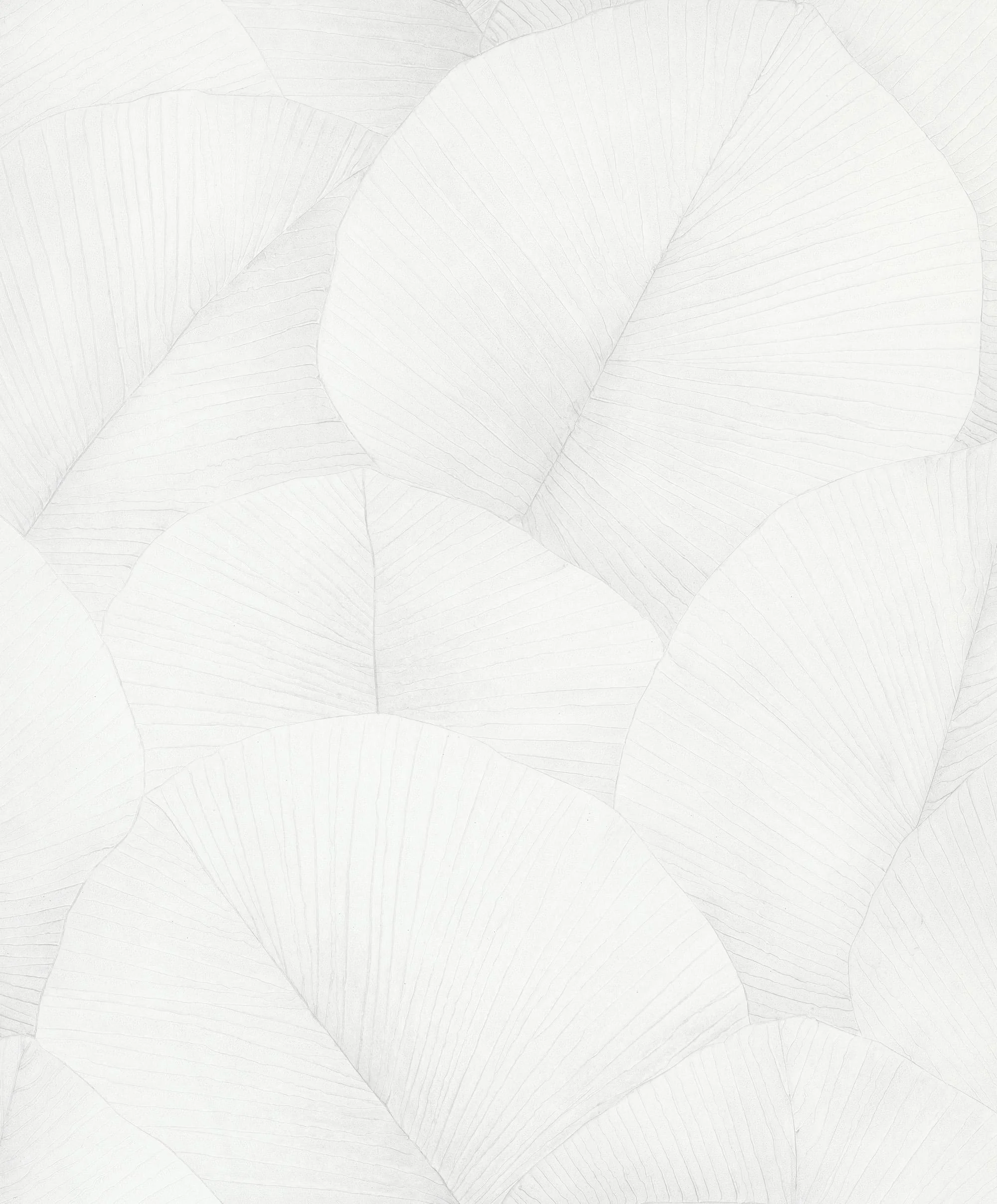 Galerie 34507 Kumano Palm Leaf White Wallpaper 34507 White Wallpaper - Image 2