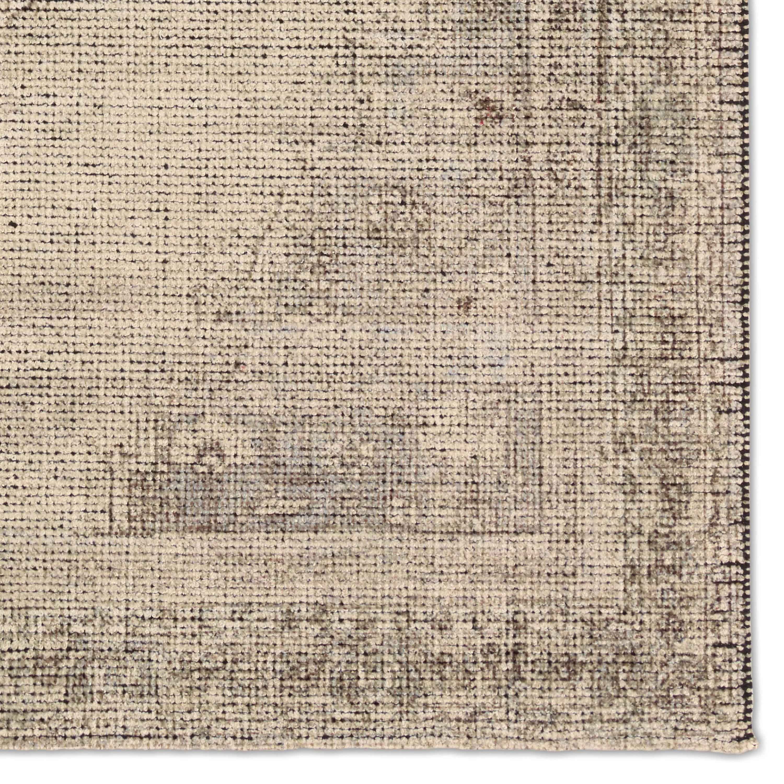 Jaipur Living Tesorino By House Sprucing Moglie Beige / Brown 3'X9' Rnr Rug - Image 7