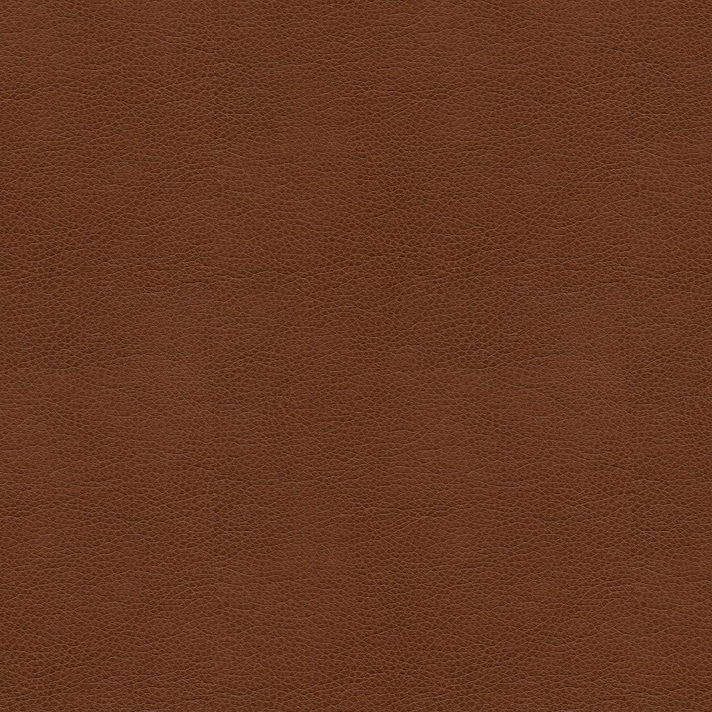 Kravet Contract Balara 6 Upholstery Fabric