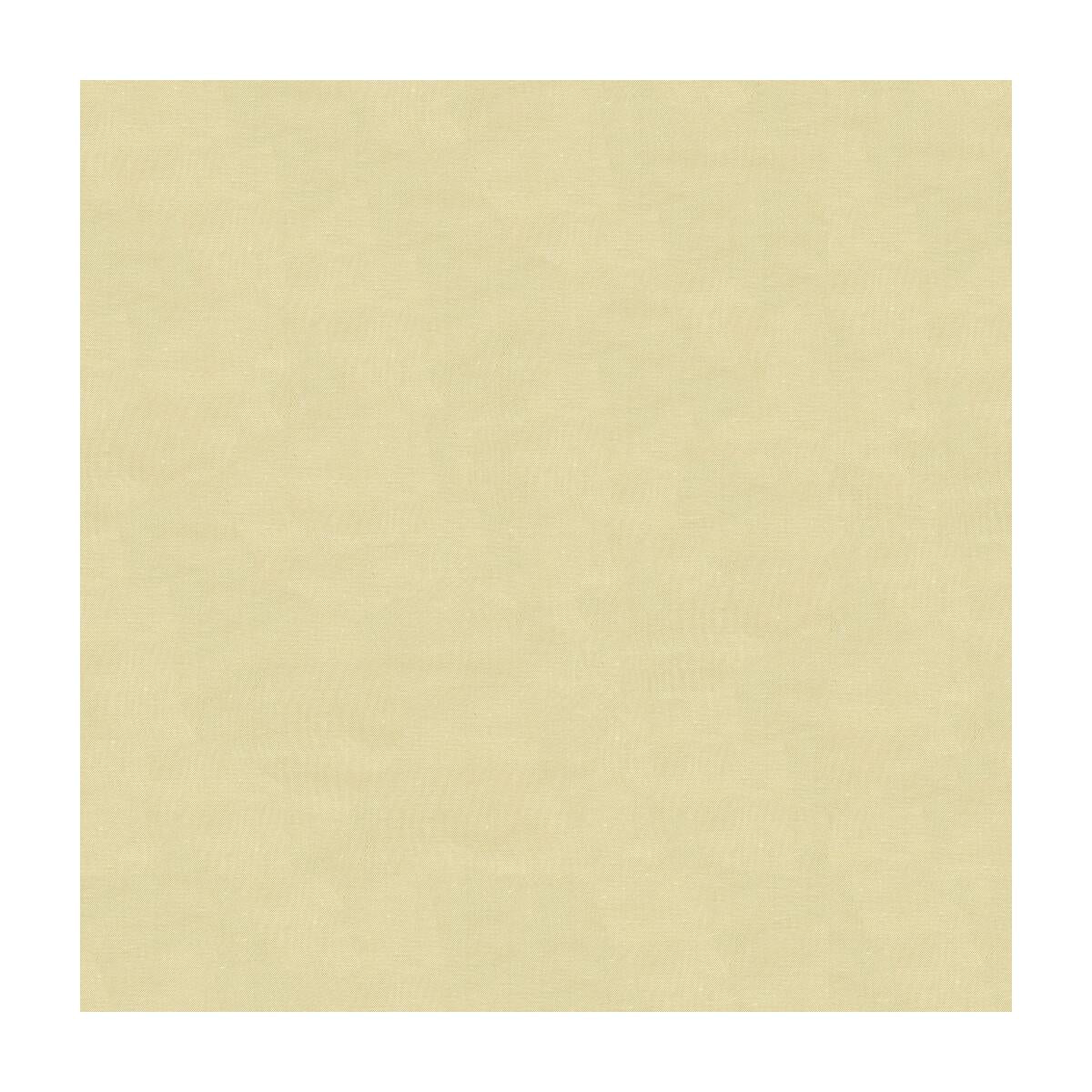 Kravet Design 4070 1116 Drapery Fabric - Image 3