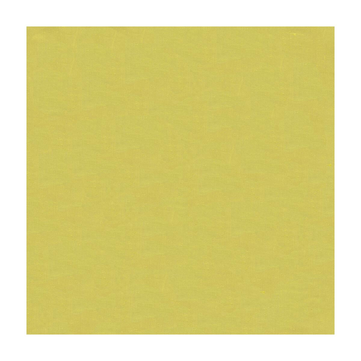 Kravet Design 4070 3 Drapery Fabric - Image 3