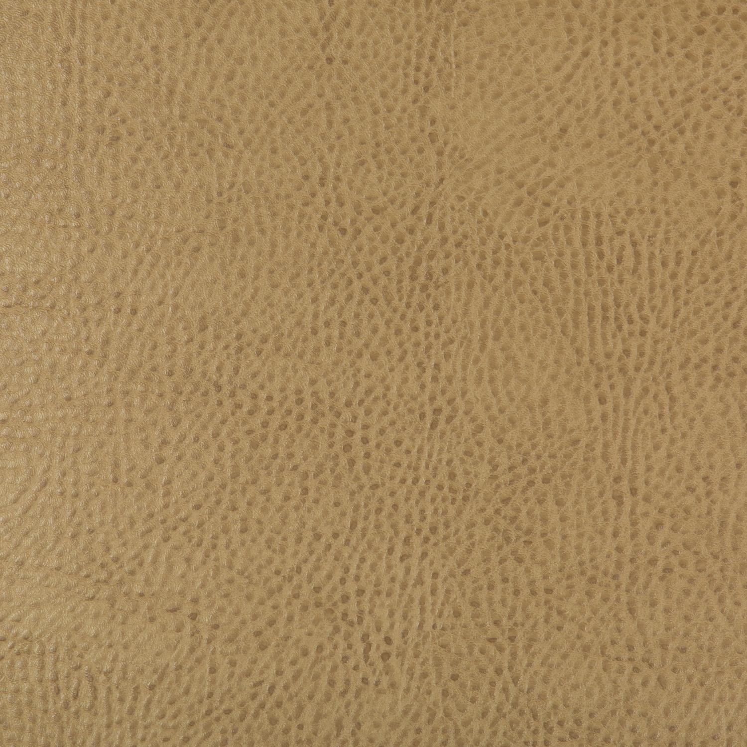 Kravet Design Beholder 16 Upholstery Fabric