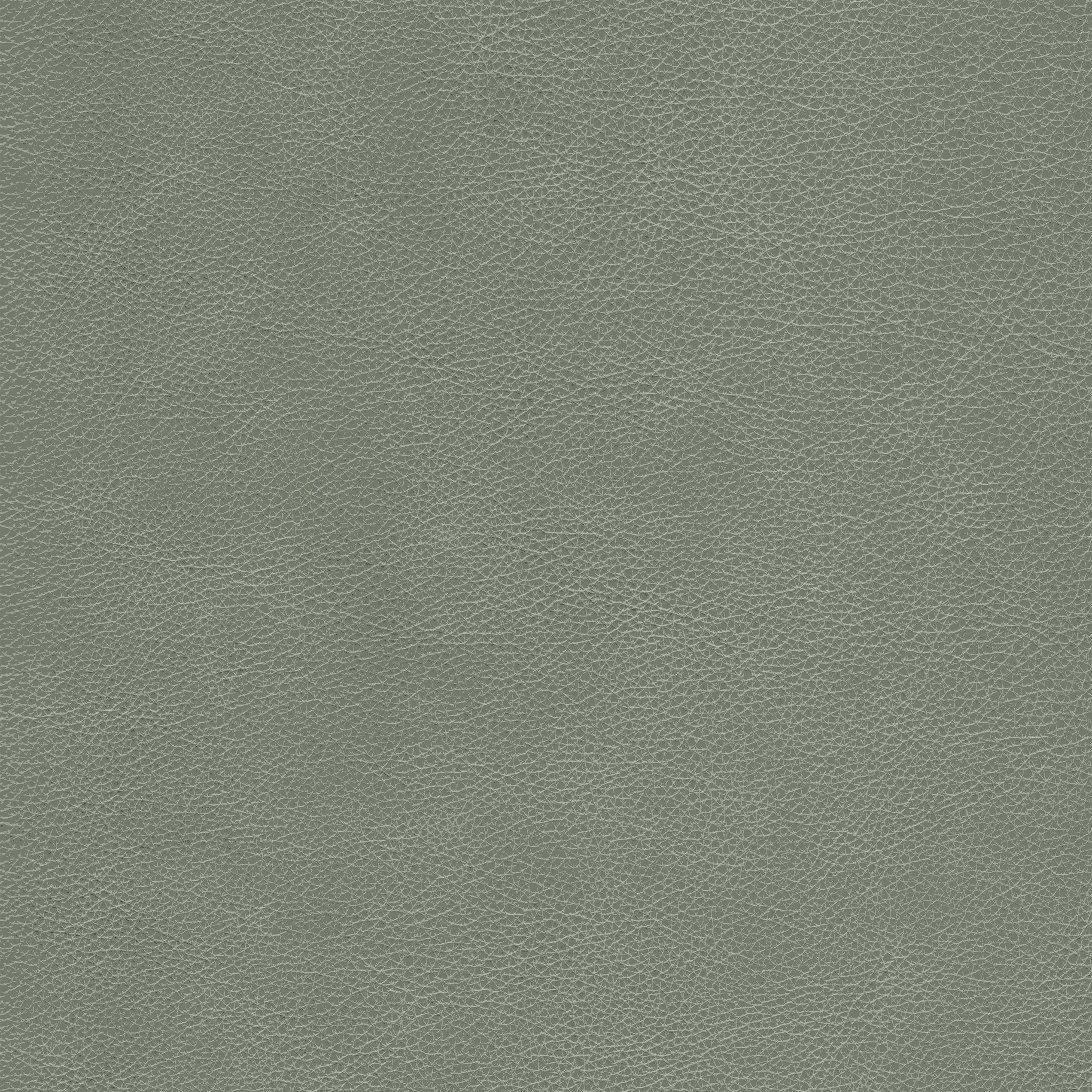 Kravet Design L Cimarron-Elephant Upholstery Fabric