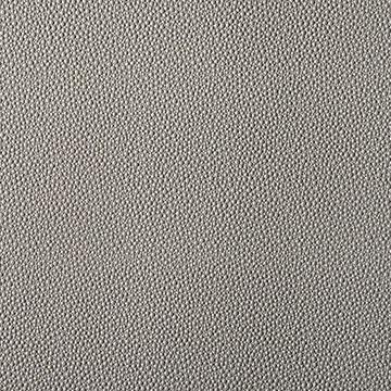 Kravet Fetch Pewter Upholstery Fabric - Image 2