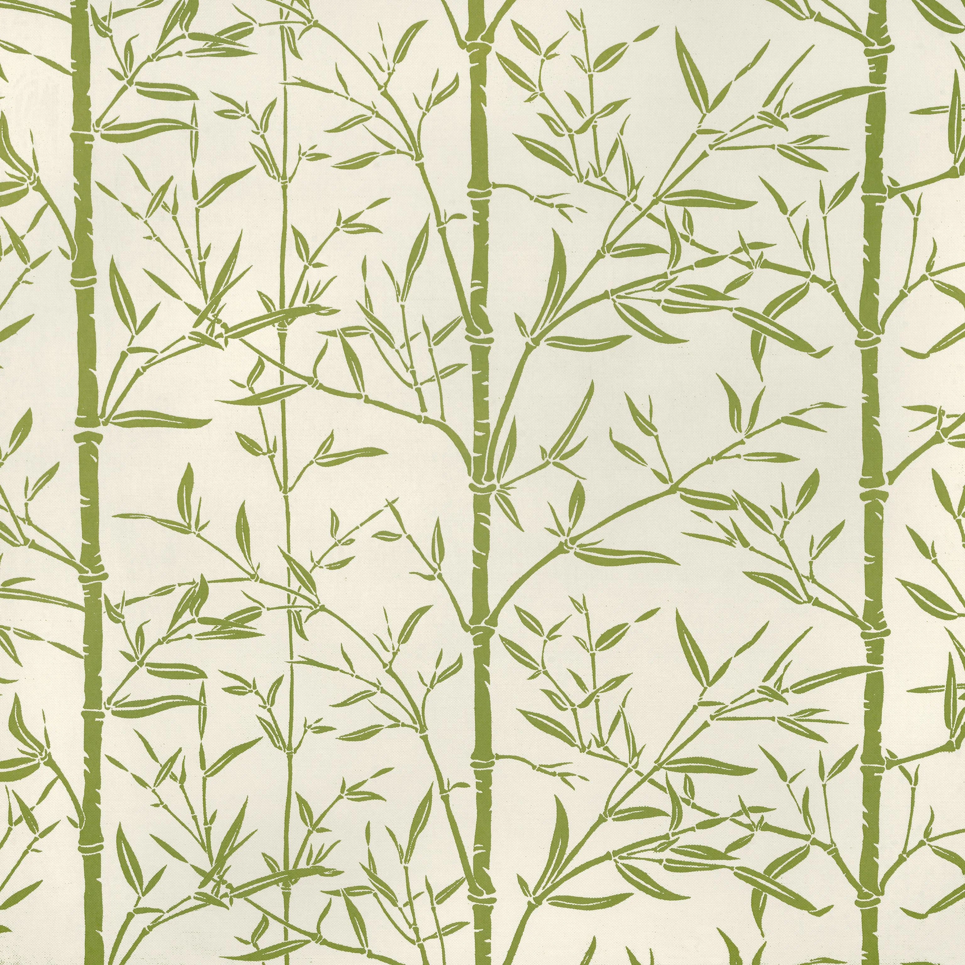 Kravet Hs Bamboo Cactus Fabric