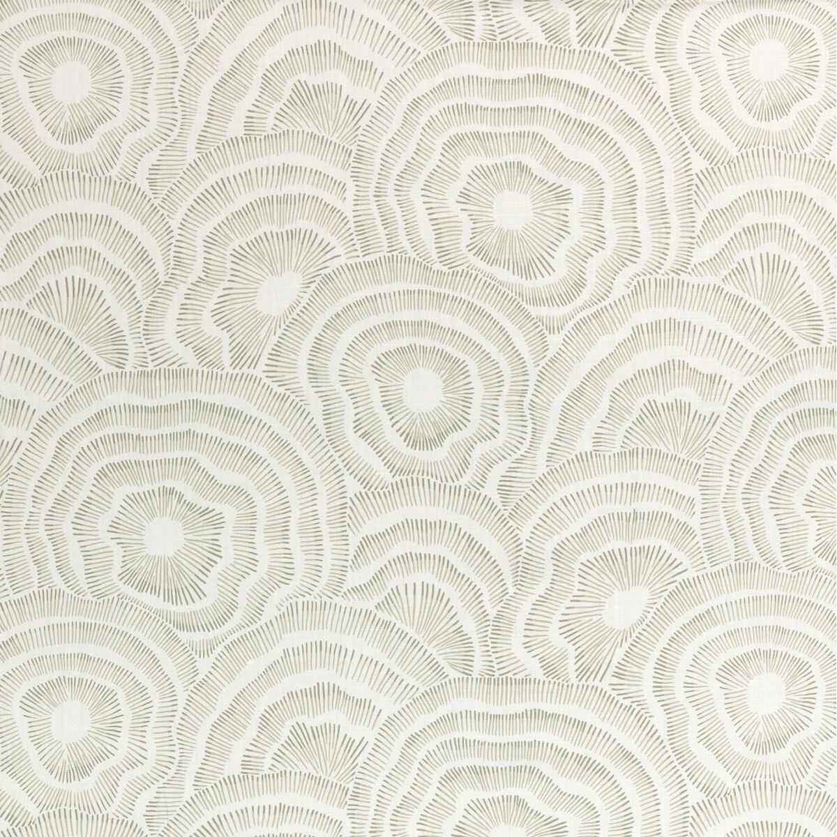 Kravet Panache Leaf Fabric