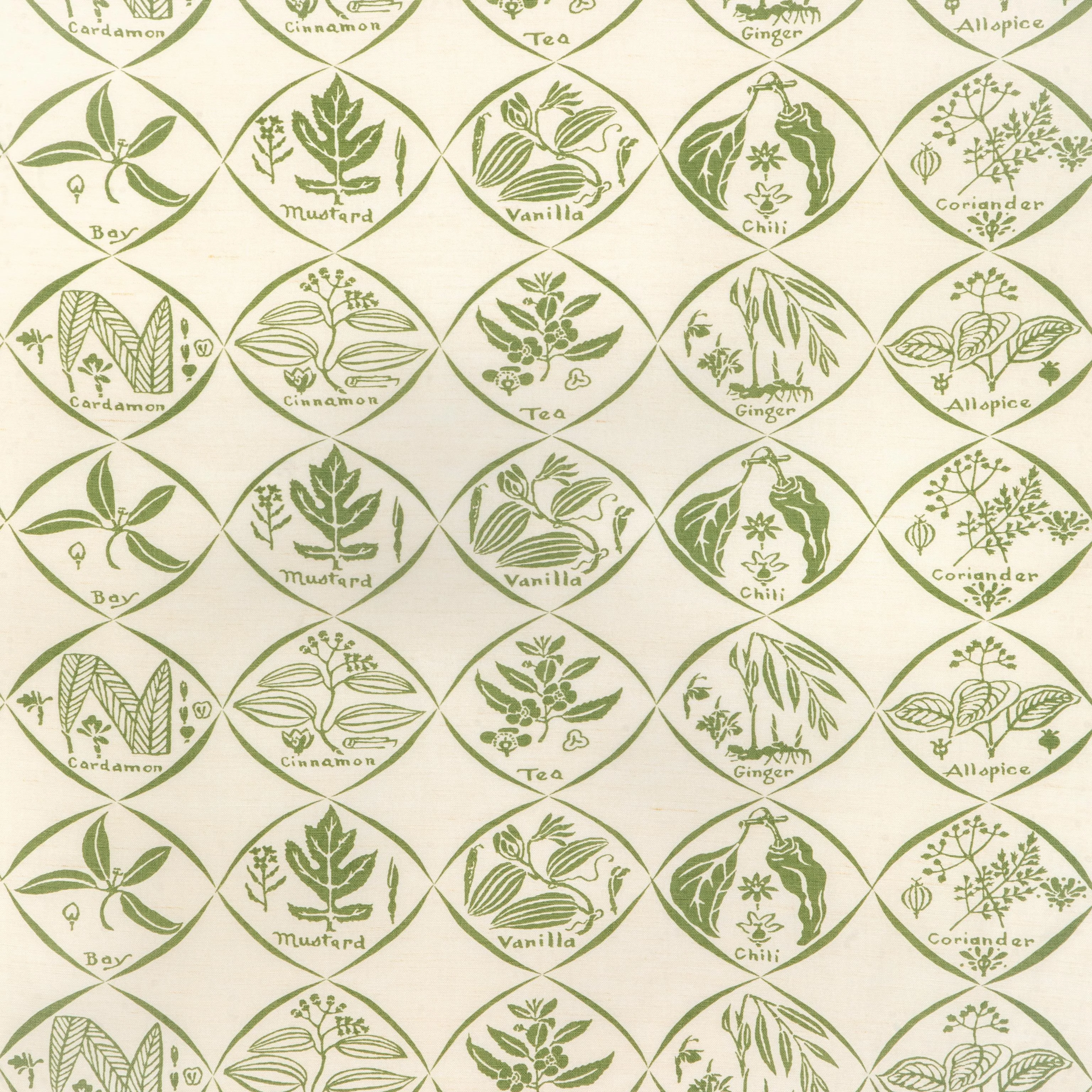Kravet Spices Cactus Fabric