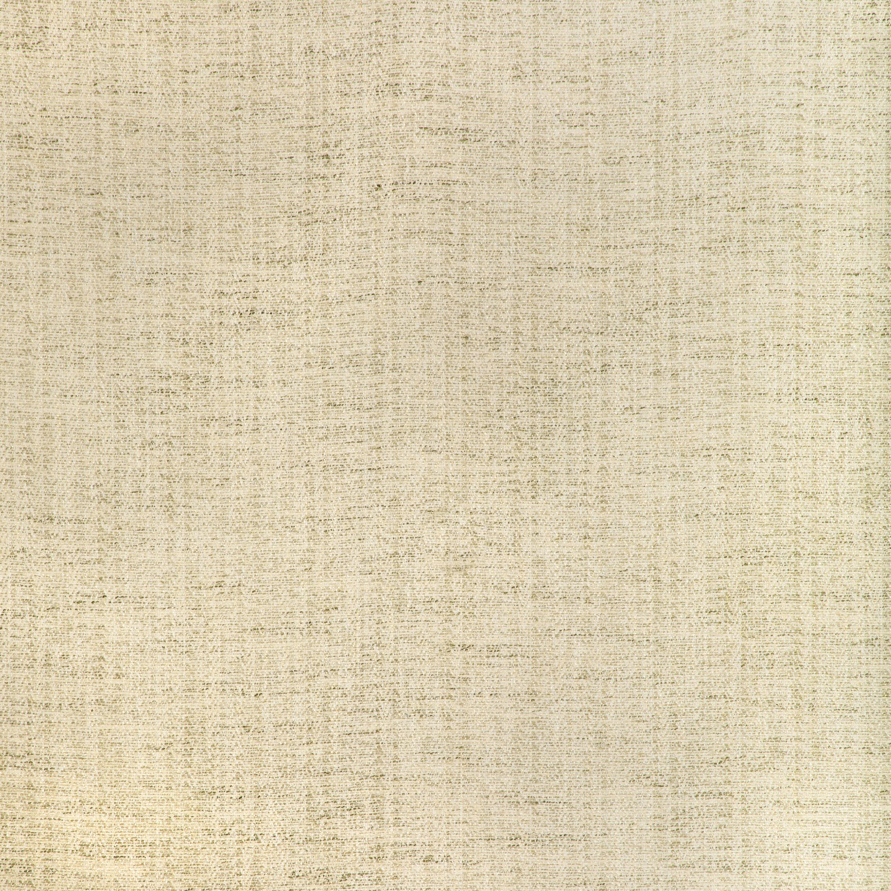Lee Jofa Alfaro Weave Moss Upholstery Fabric - Image 2