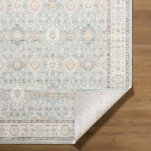 Livabliss Amir Amr-2304 5'3" X 7' Machine Woven Rug - Image 3
