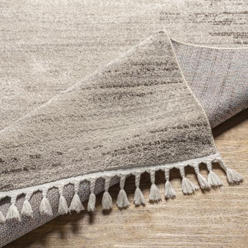 Livabliss Blackburn Bbn-2303 6'7" X 9' Machine Woven Rug - Image 5