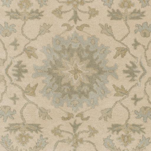 Livabliss Caesar Cae-1161 6' X 6' Handmade Rug - Image 6