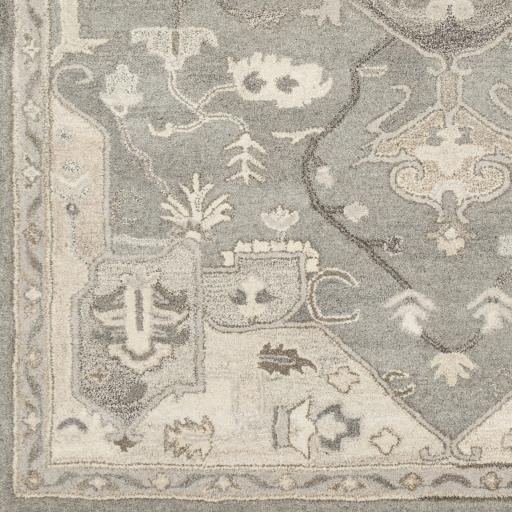 Livabliss Caesar Cae-1196 6' X 6' Handmade Rug - Image 6