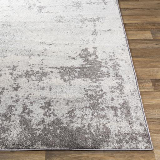 Livabliss Chester Che-2340 5'3" X 7'3" Machine Woven Rug - Image 3