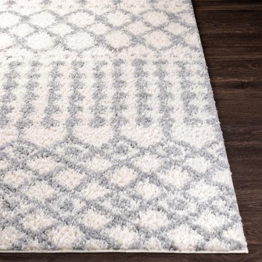 Livabliss Deluxe Shag Dxs-2312 5'3" X 7'3" Machine Woven Rug - Image 3