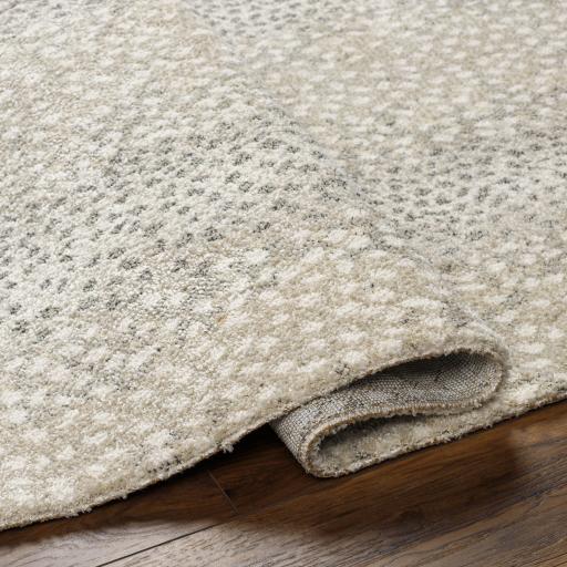 Livabliss Gavic Gvc-2313 5'3" X 7'3" Machine Woven Rug - Image 5