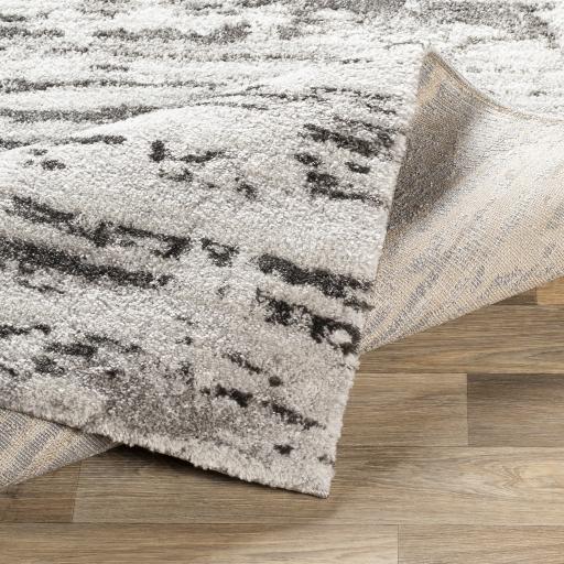 Livabliss Venice Vne-2301 7'10" X 10'2" Machine Woven Rug - Image 5