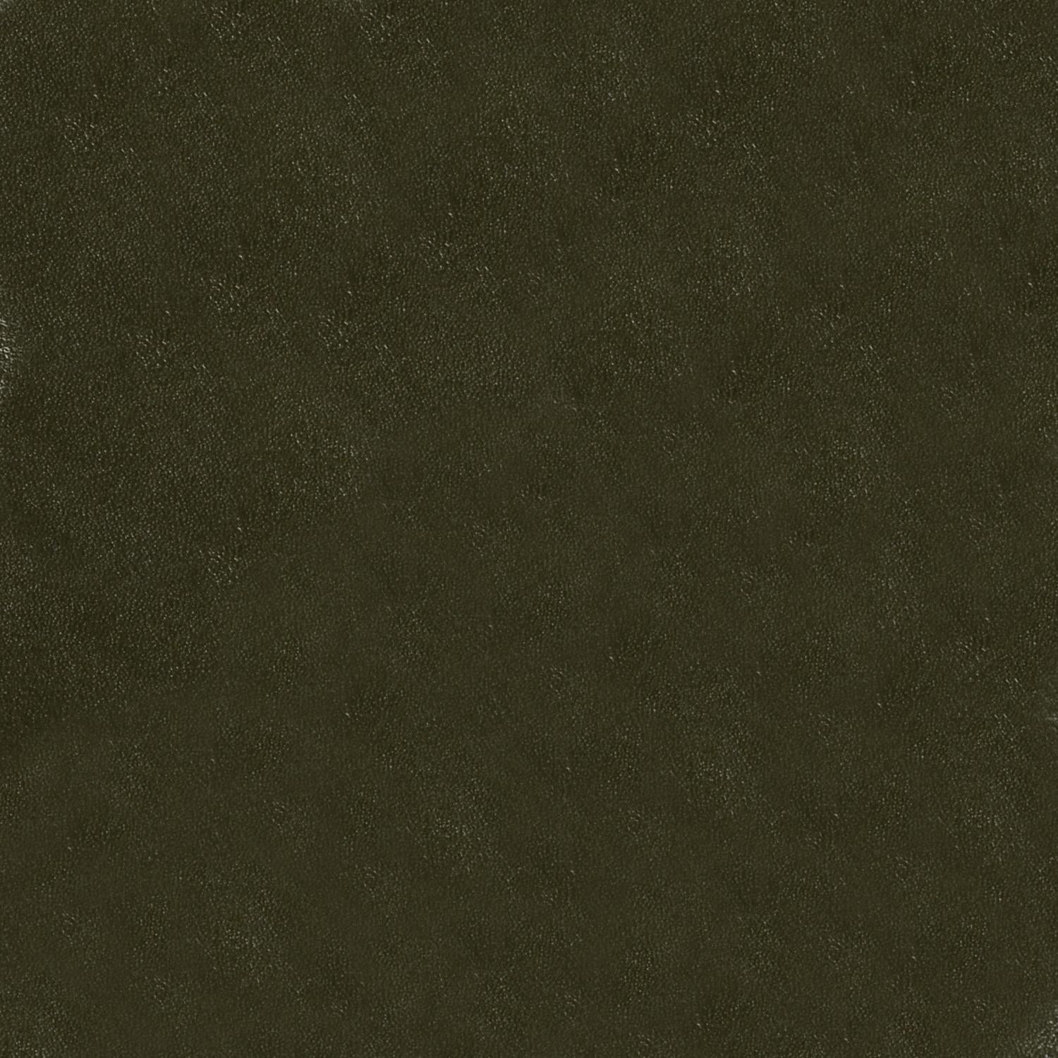 Maxwell Glaze #102 Cactus Fabric