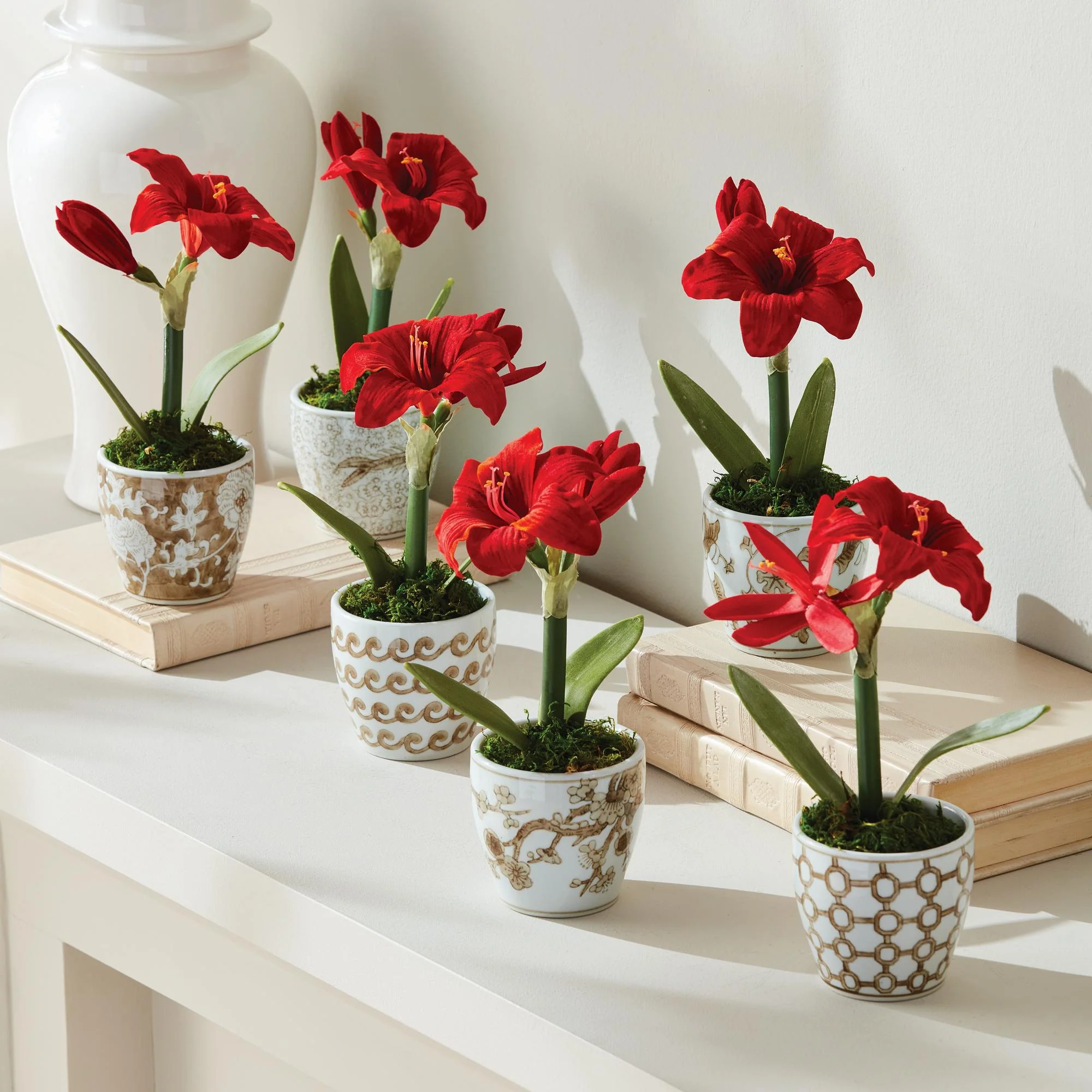 Napa Brown And White Province Mini Flower Pots, Set Of 6 - Image 3