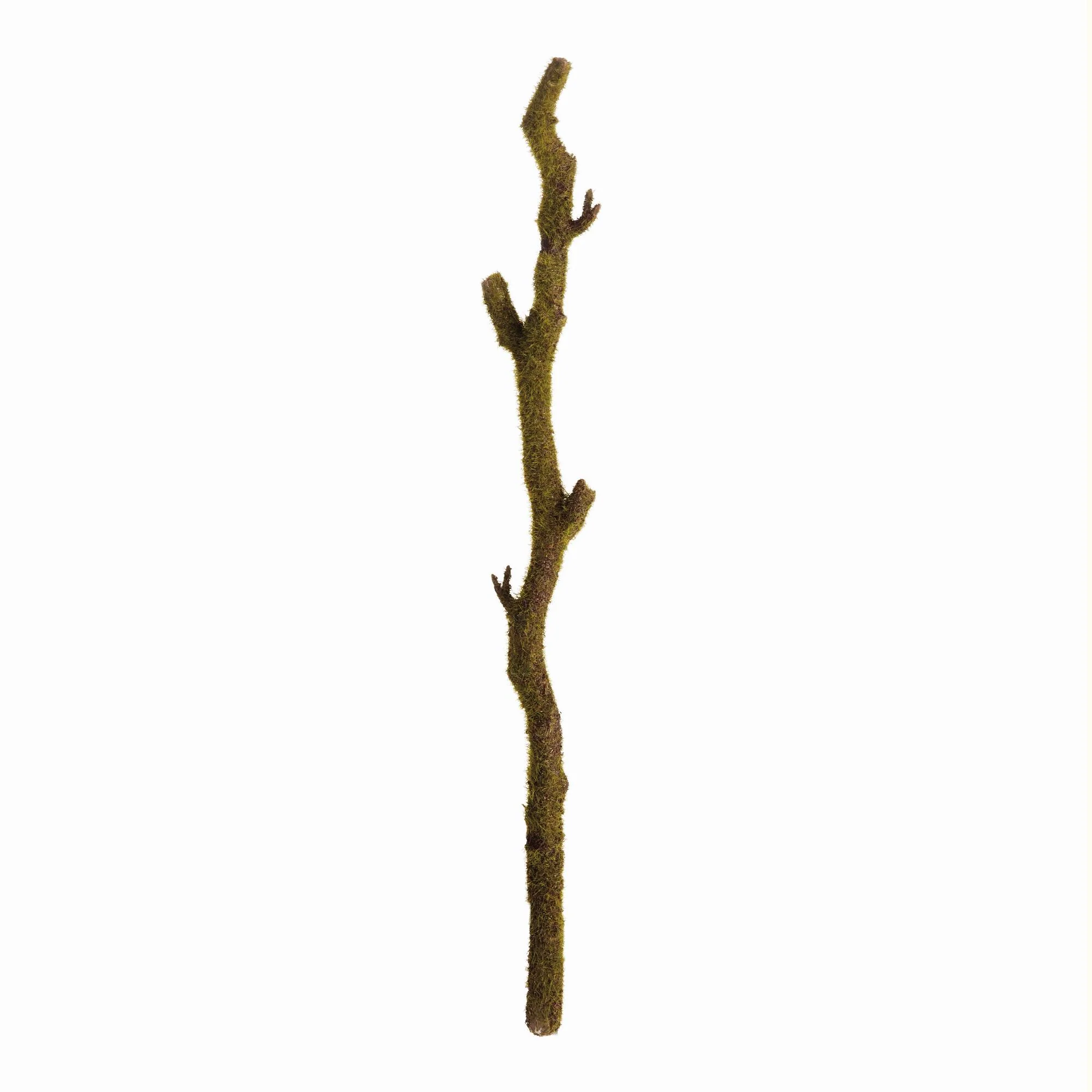 Napa Green Moss Branches 24", Set Of 2