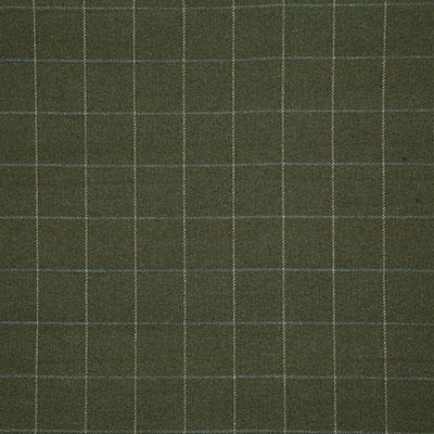 Pindler Callum Moss Fabric