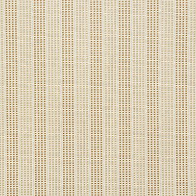 Pindler Carpinteria Glow Fabric