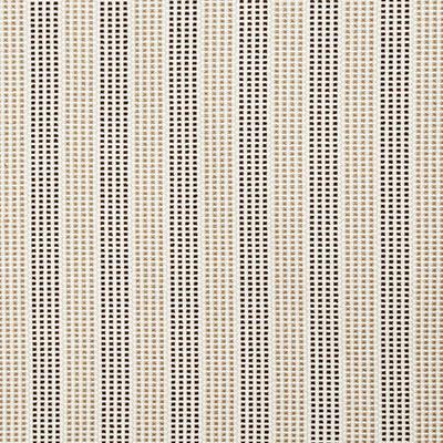 Pindler Carpinteria Sand Fabric