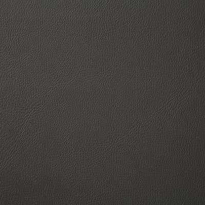 Pindler Howdy Charcoal Fabric