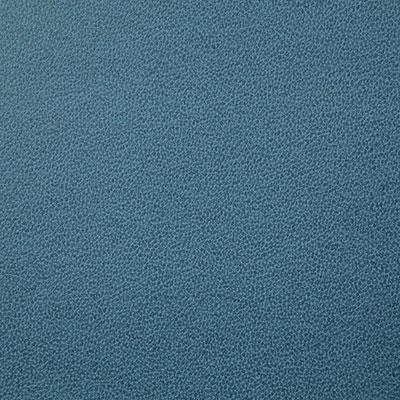 Pindler Lasso Azure Fabric