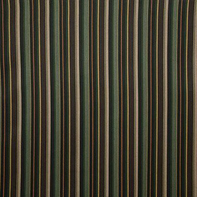 Pindler Lodge Stripe Cedar Fabric
