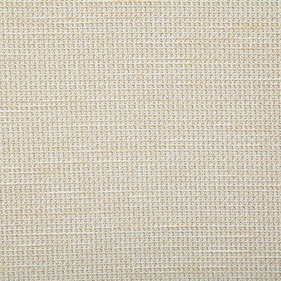 Pindler Rover Alabaster Fabric