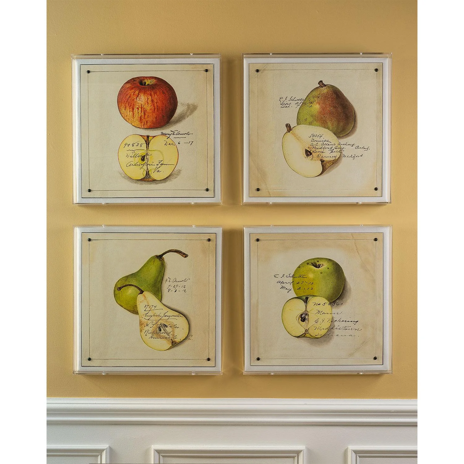 Port 68 Green Apple - Image 3