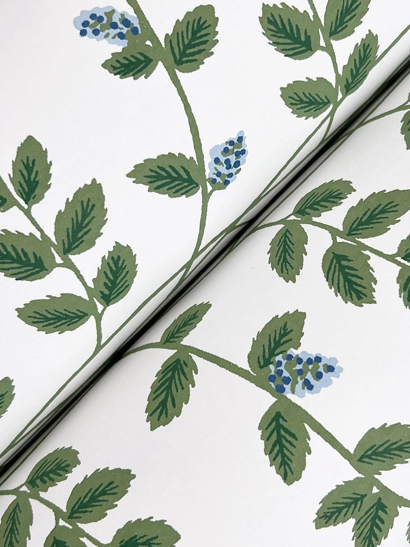Rifle Paper Co. Climbing Vine Blue Wallpaper - Image 2