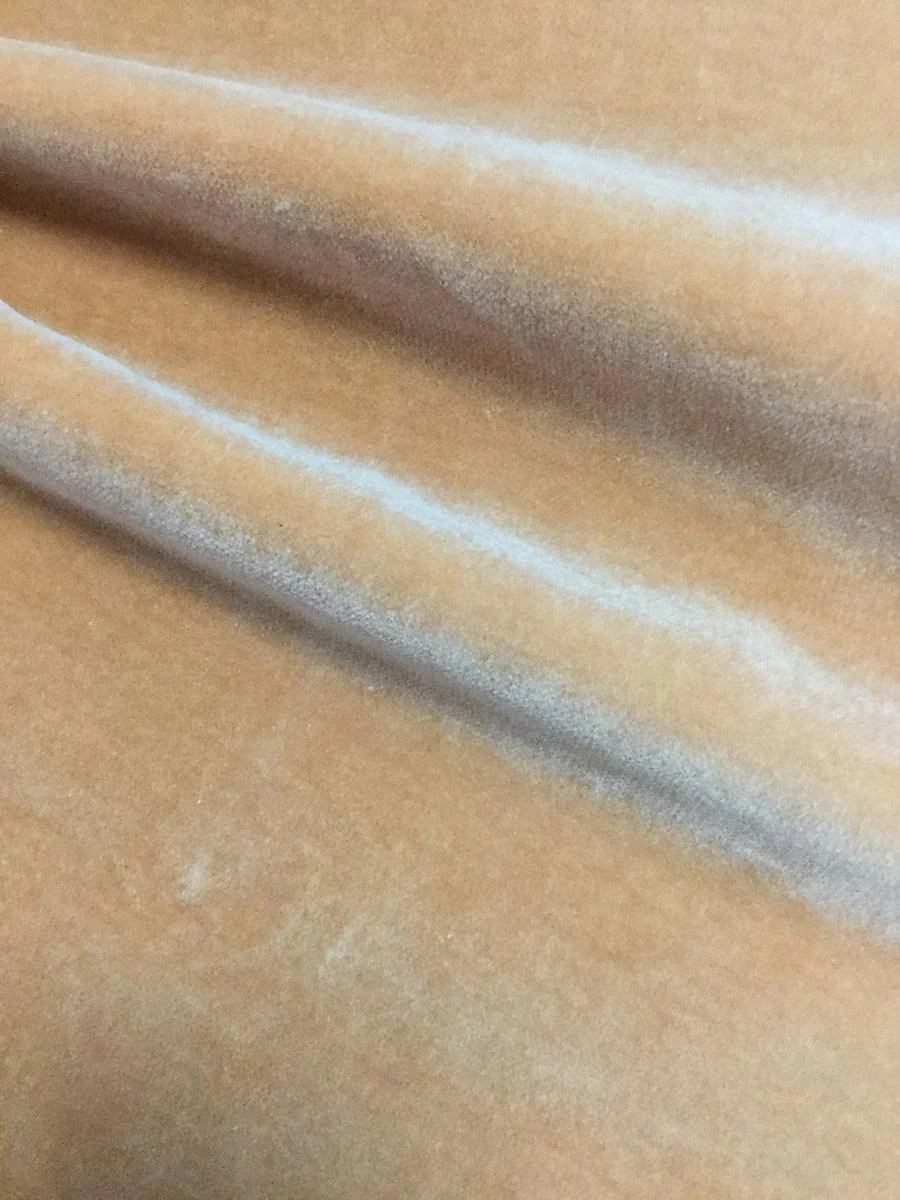 Scalamandre Cosmos Daim Fabric - Image 7