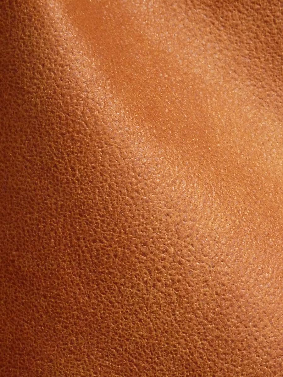 Scalamandre Western Cognac Fabric - Image 2
