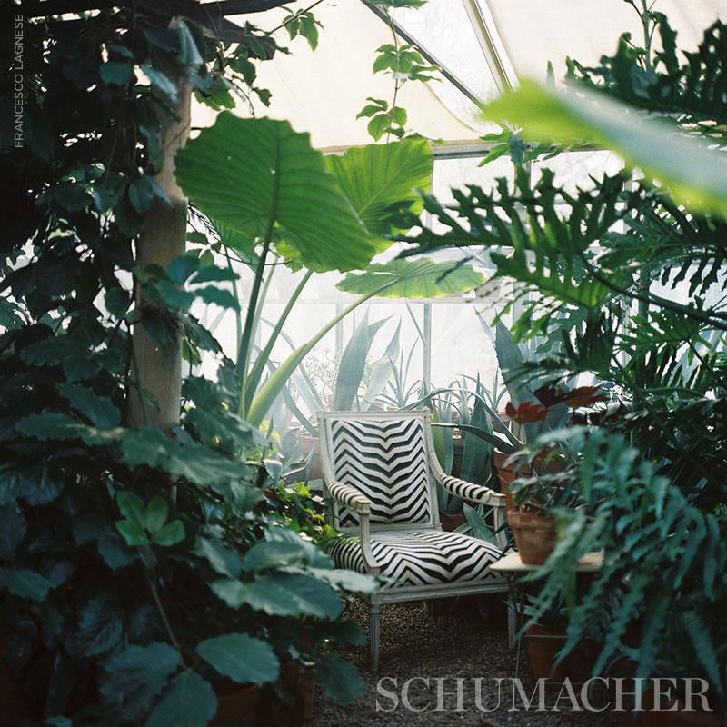 Schumacher Arcure Épinglé Zebra Black Fabric - Image 4