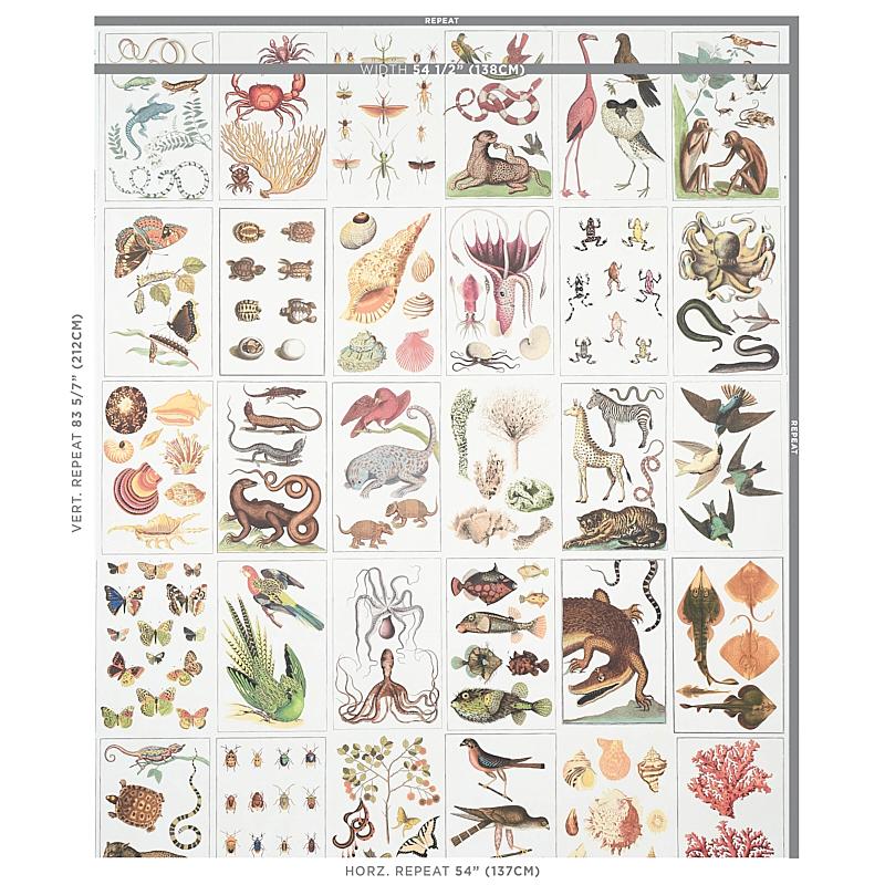 Schumacher Bauhin Document Multi Wallpaper - Image 2