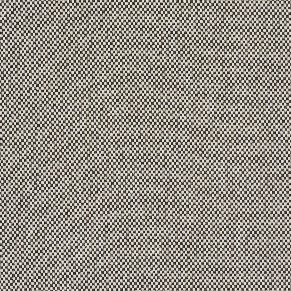 Schumacher Brock Indoor/Outdoor Black Fabric - Image 4